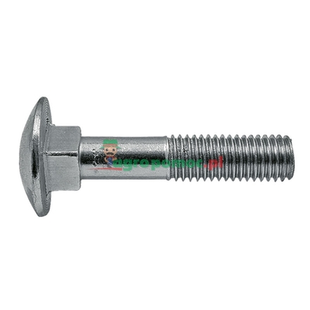  Carriage bolt