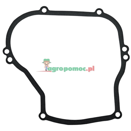  Crankcase gasket | 270069