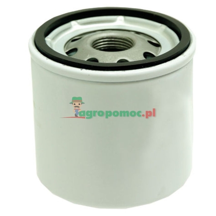  Fuel filter | 7000043081