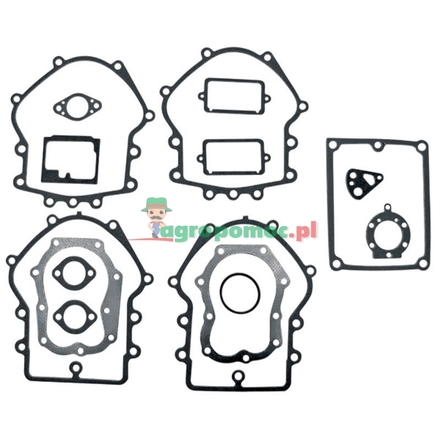  Gasket set | 495868, 491856