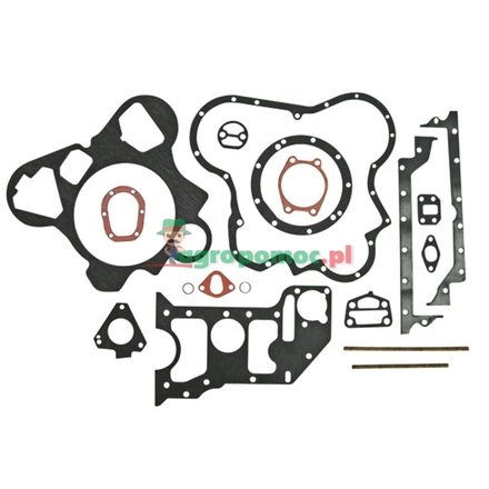  Gasket set | 130300010765