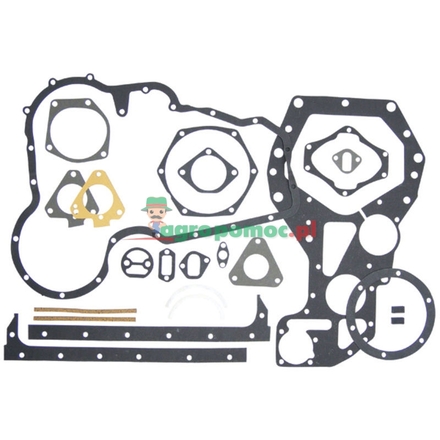  Gasket set | 743029M91