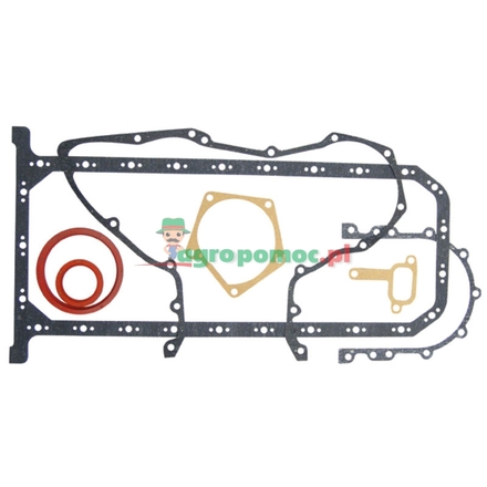  Gasket set | 10000995