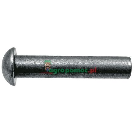  Half-round rivets | 48974011