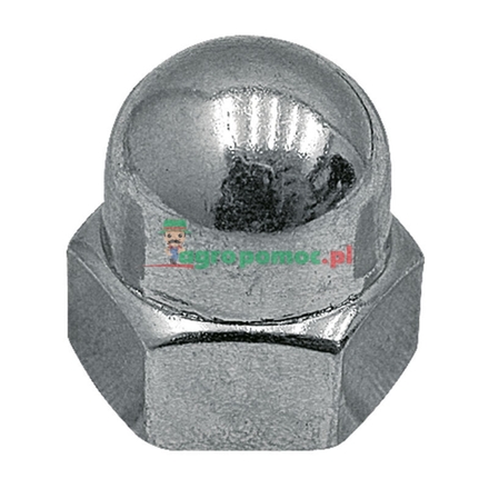  Hexagon cap nut