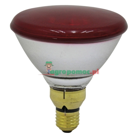  Infrared light bulb