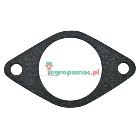  Intake gasket | 270070