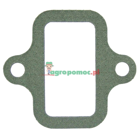  Intake gasket | F816200090090