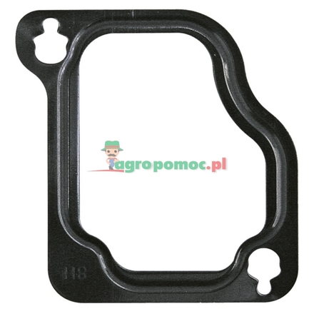  Intake gasket | F934201090020