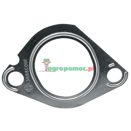  Intake gasket | 3638735M1