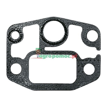  Intake manifold gasket | 199204010040