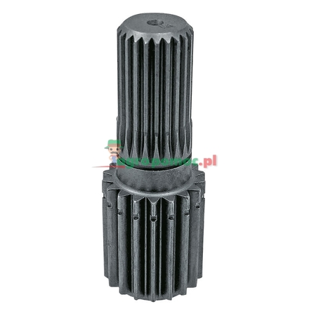  Pinion shaft | F198300020580