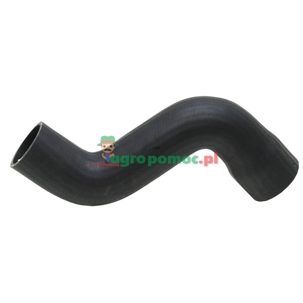  Radiator hose | 82038277