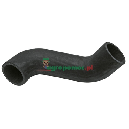  Radiator hose | 385202050070