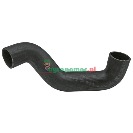  Radiator hose | 82037559, 82028242