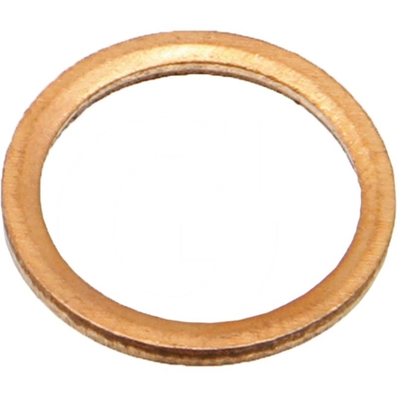  Sealing ring | 162000080750