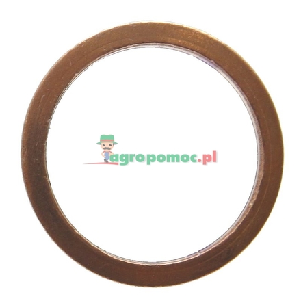  Sealing ring | 01118688