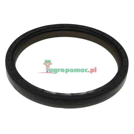  Sealing ring | F824200210180