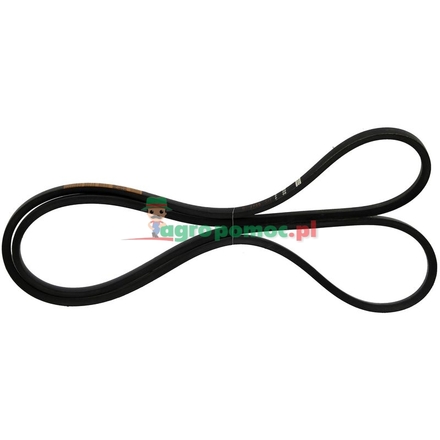  V-belt | 4250121780