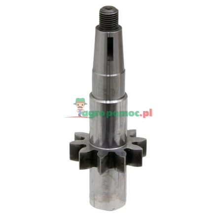 Casappa Shaft EUR PLP 30.38