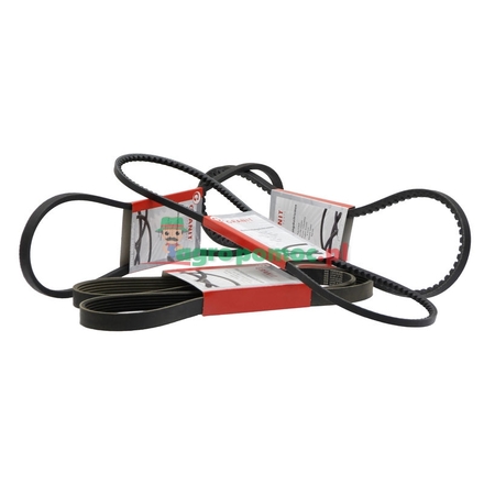 Dayco Poly V-belt | L114286, L114487