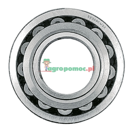 FAG Self-aligning roller bearing