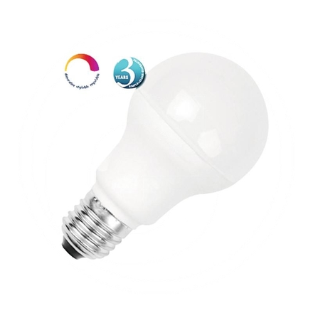 LED bulb