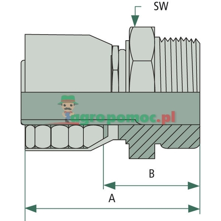 Parker PNE 06 AGORF 9/16" | 1JM48-4-4