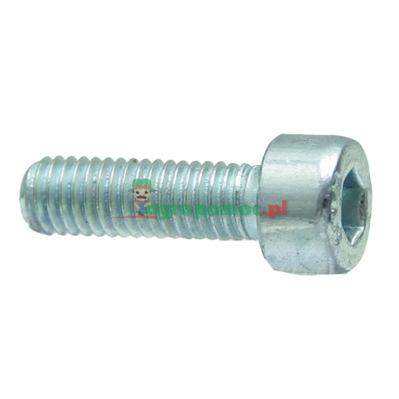 Suma Cheese-head bolt | 48111, 72246