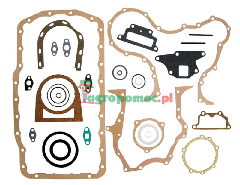 Gasket set 81813951 (38017702) Spare parts for agricultural machinery and  tractors.