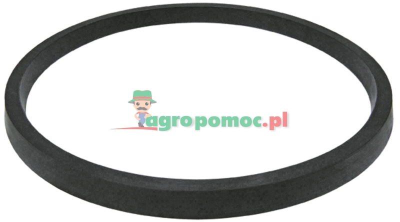 bonnet gasket