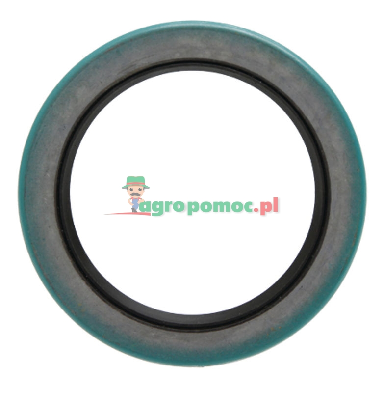 Sealing ring H205301020020, X561930500000 (72706176) - Spare parts