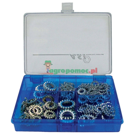  Assorted serrated lock washers