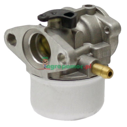  Carburettor | 799868, 498170