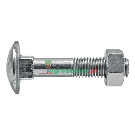  Carriage bolt