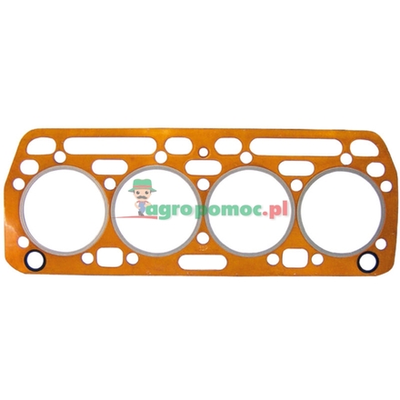  Cylinder head gasket | 703883R6