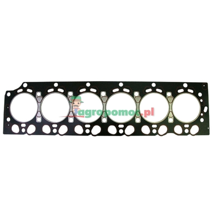  Cylinder head gasket | 04283903, 04209895