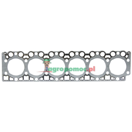  Cylinder head gasket | F934201210500