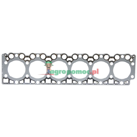  Cylinder head gasket | F934201210510