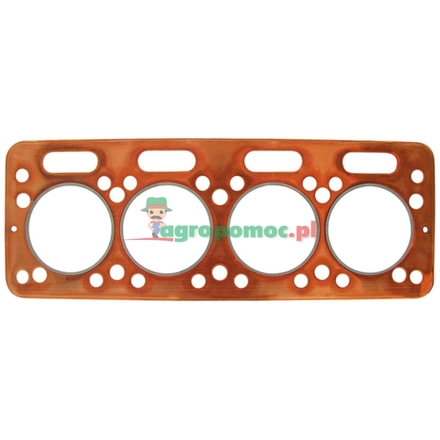  Cylinder head gasket | 880769698493461