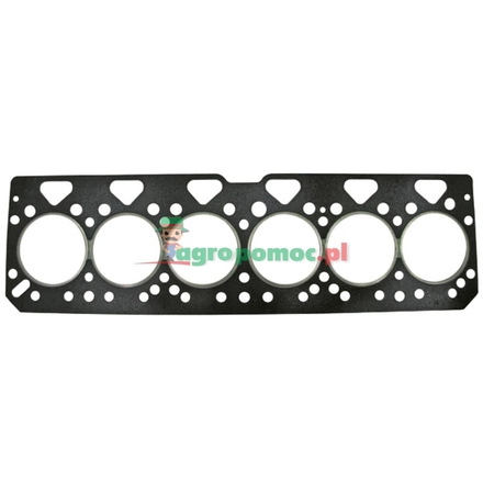  Cylinder head gasket | 4222354M1, 3640916M1, 3637059M1