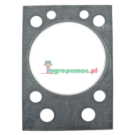  Cylinder head gasket | 67010521