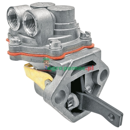  Diaphragm feeding pump | 4222174M91