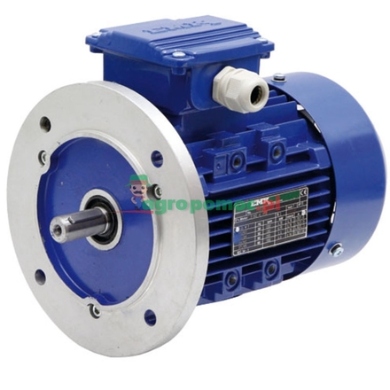  Electric motor 80S-4-B3/5-2/4