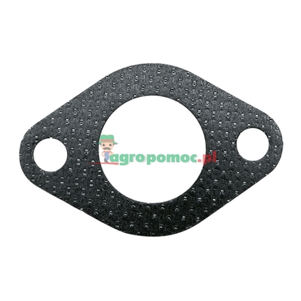  Exhaust gasket | 55010510