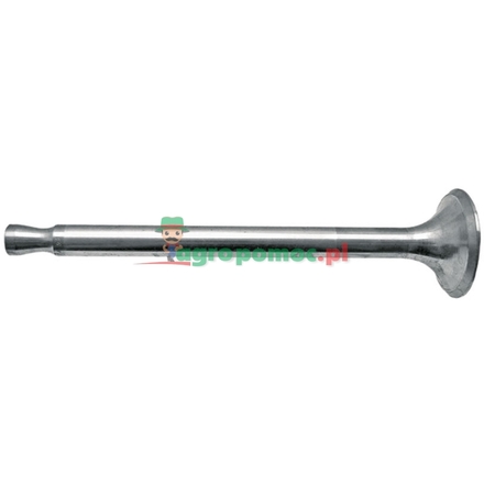  Exhaust valve | 03369308