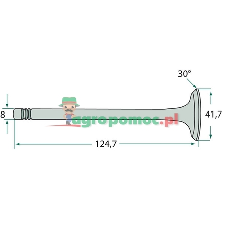  Exhaust valve | 04208096