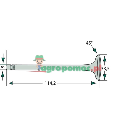  Exhaust valve | 957E6505, 81717764