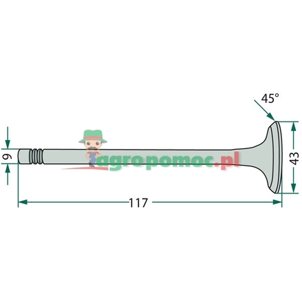  Exhaust valve | F199200210050