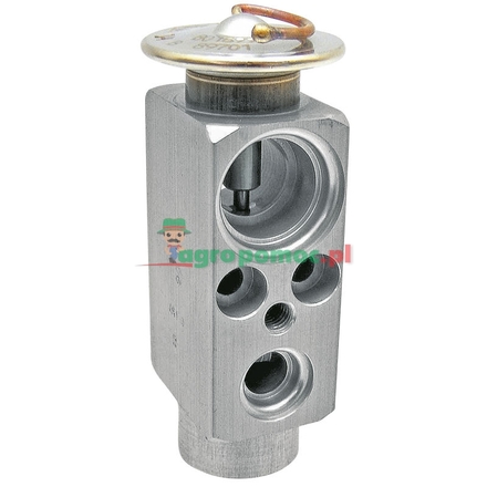  Expansion valve | 04419569